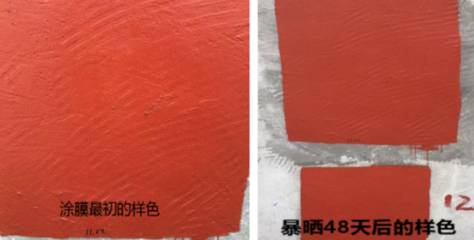 新品丨三棵树防水全新“黑科技”,让工人爱不释手