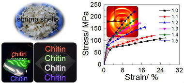 高强度透明甲壳素膜制备取得突破