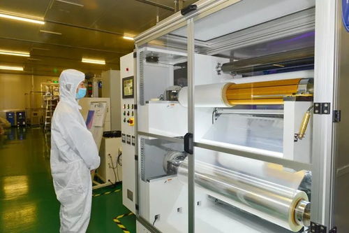 大竹即将全面崛起