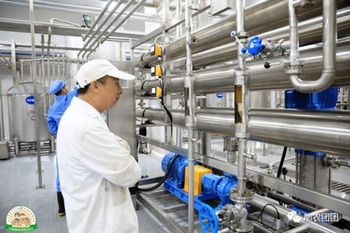 助农团团丨刺梨产业巡礼① 刺梨原榨果汁,天然原味,你敢来喝吗